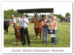 Junior Show Champion Female
Red McRae's Reba 92X
