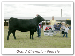 Grand Champion Female
MVF Rosebud 23W