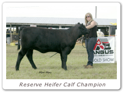 Reserve Heifer Calf Champion
DJCC Rosebud 11X
