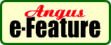 AnguseFeature1