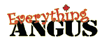 EverythingAngus