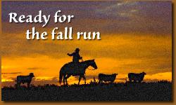 FallRun